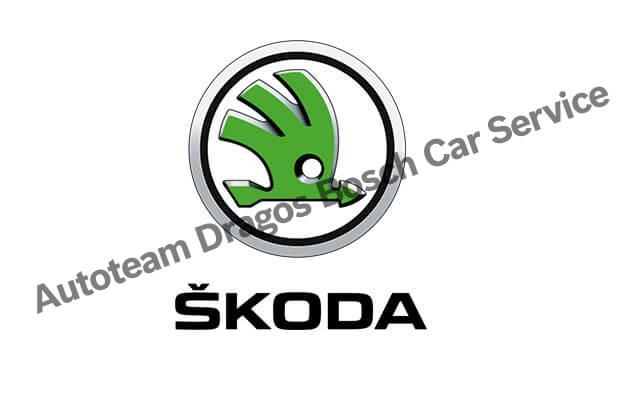 Dragos Skoda Servisi